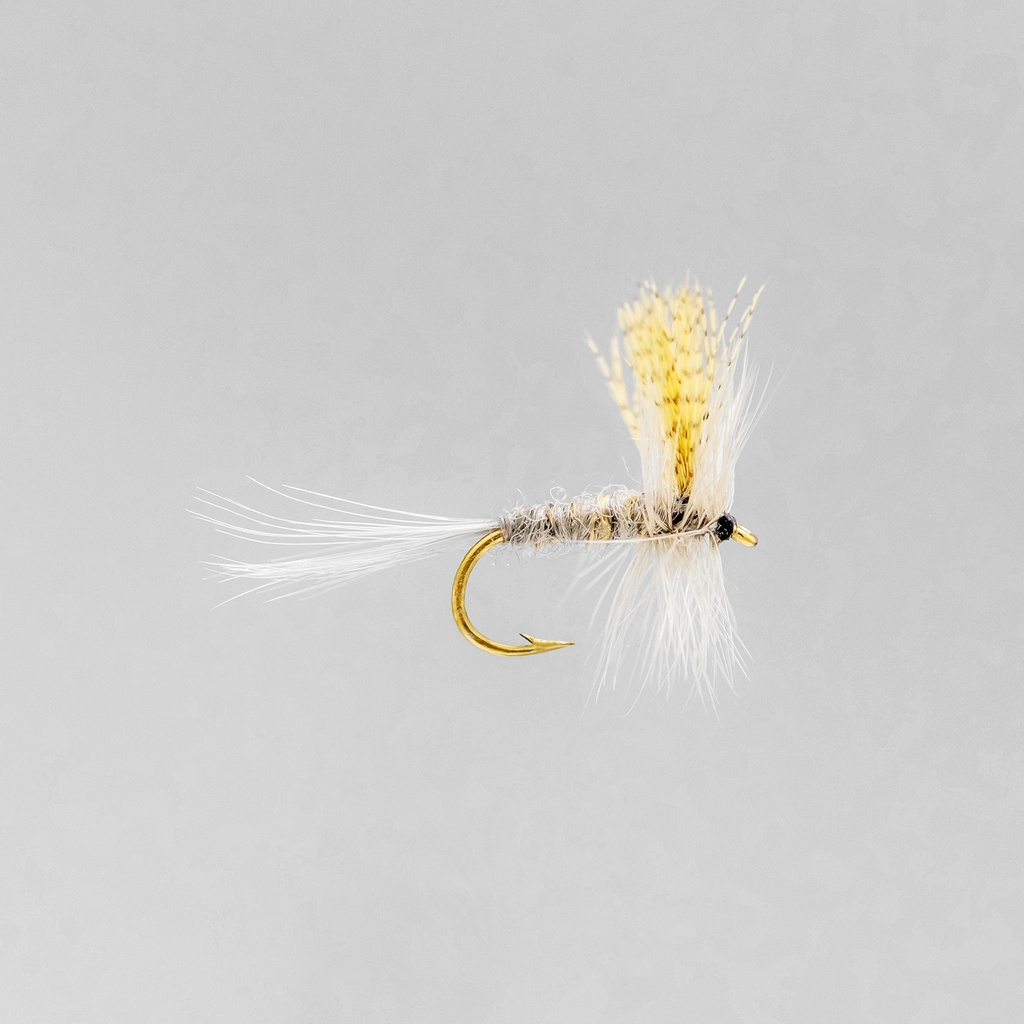 Hendrickson Dark