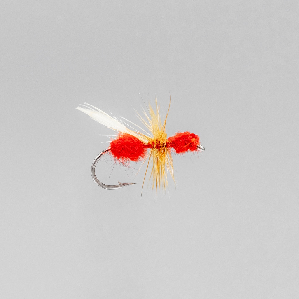 Red Flying Ant