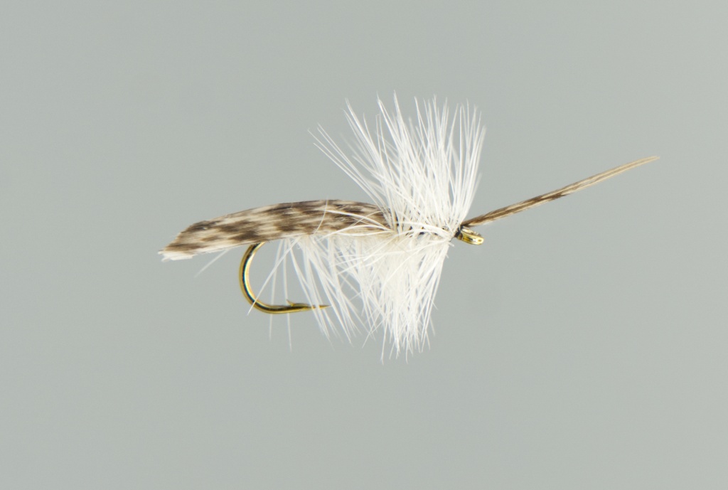 Cream Tent Caddis