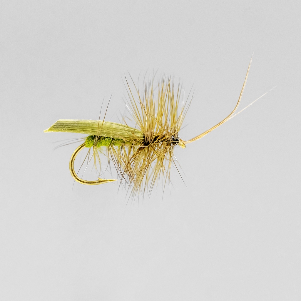 Olive Tent Caddis