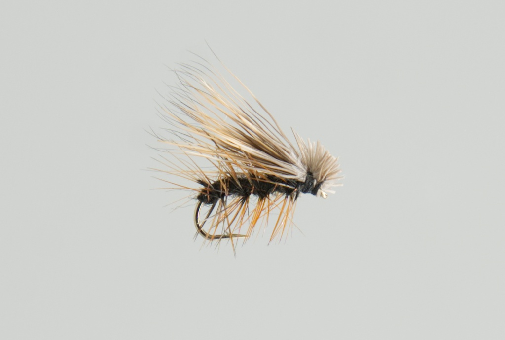 Elk Hair Caddis Black