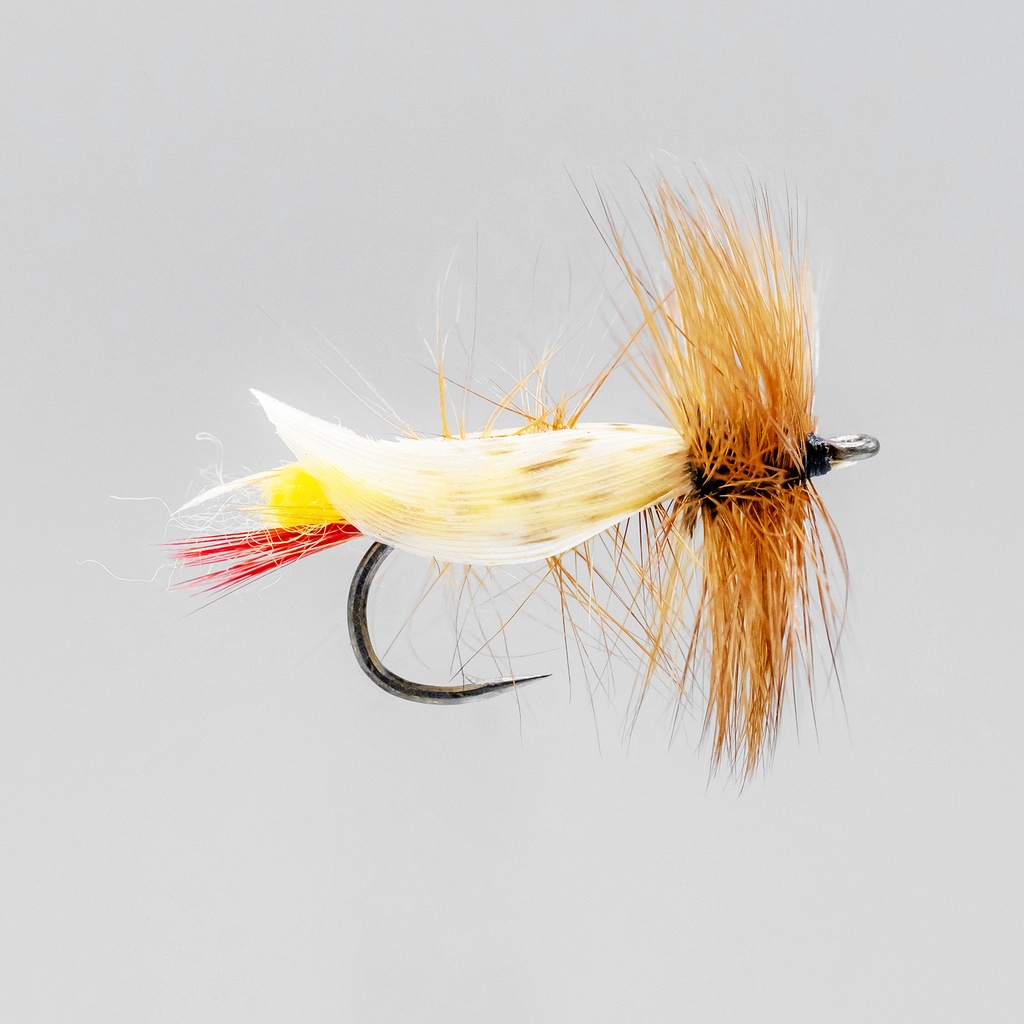 Yellow Grasshopper