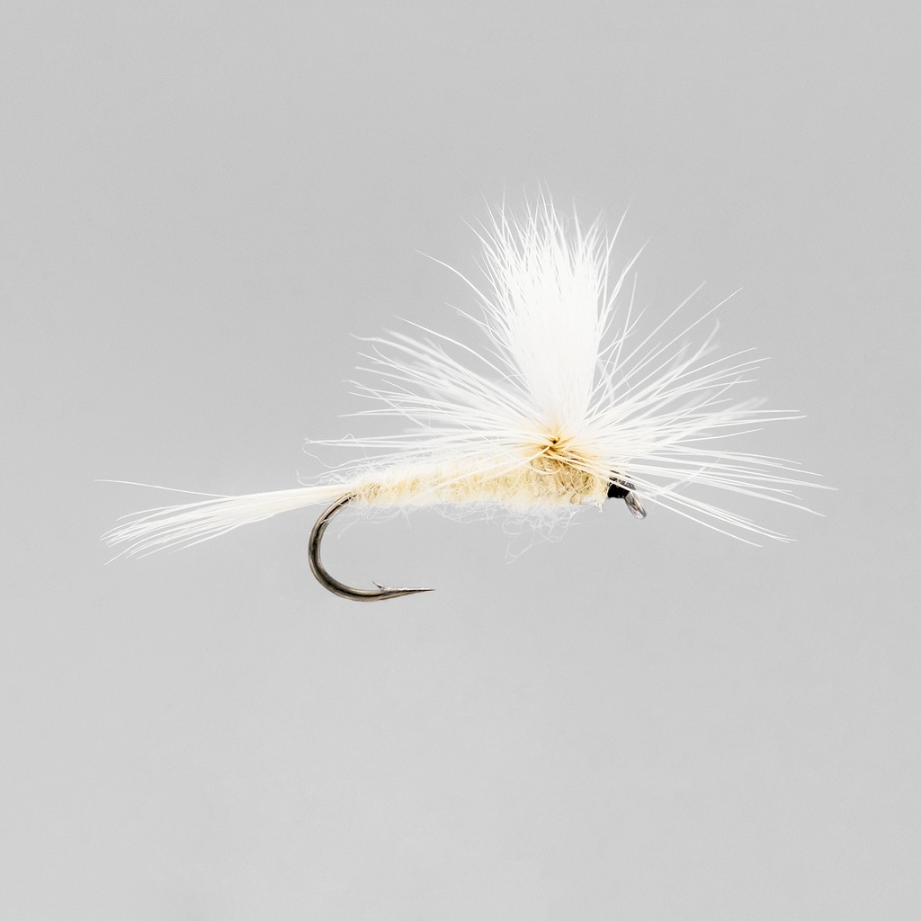 Light Cahill Parachute