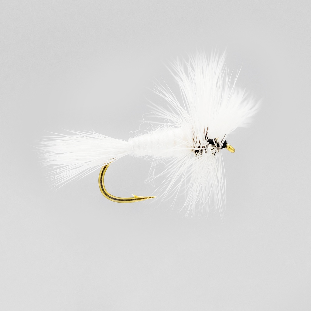 White Wulff
