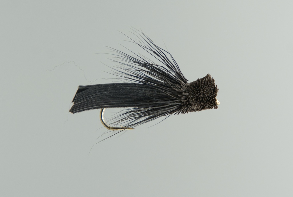 Letort Cricket