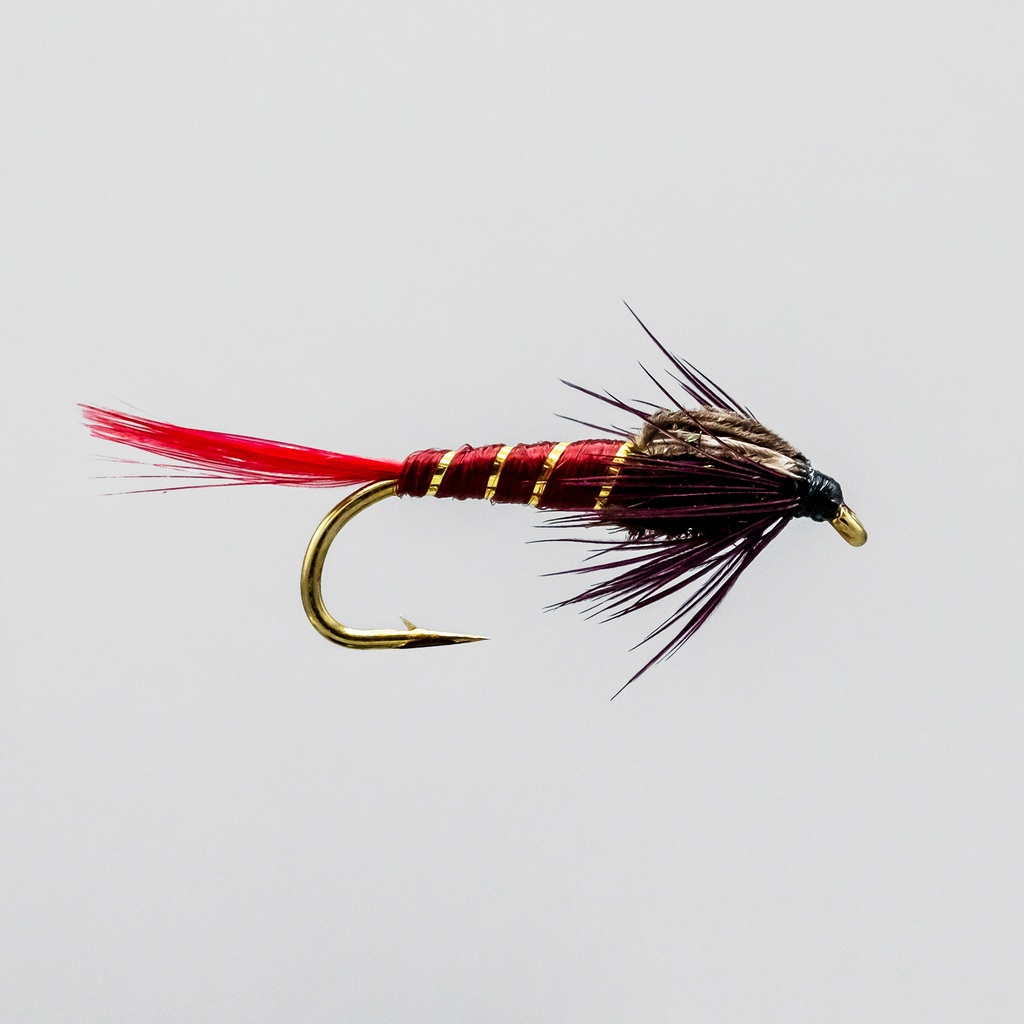 Montréal Nymphs