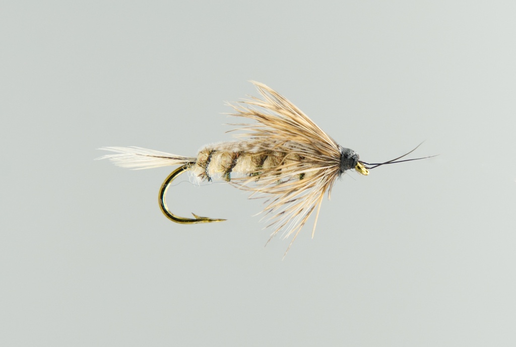 Cream 13A Nymphs