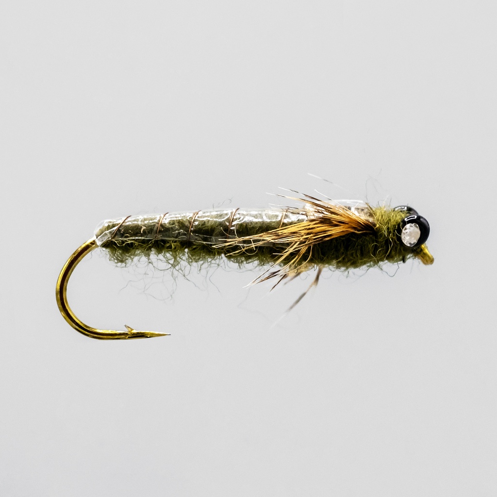 Olive Dragon