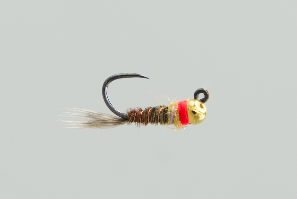 Jiggy Frenchie Tungsten
