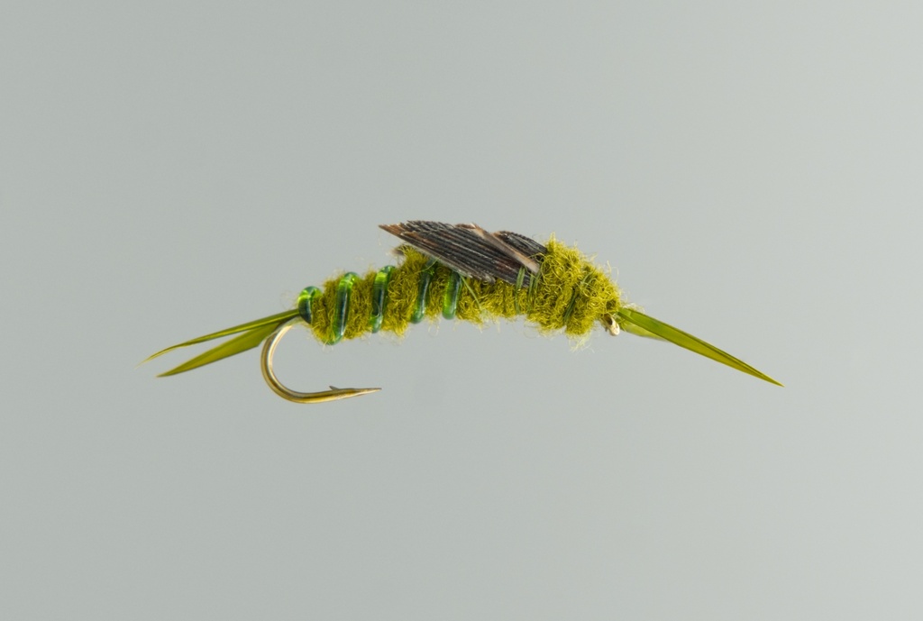 Olive Stone Fly