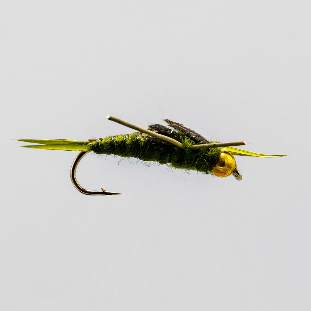 Bead Head Olive RL Stonefly