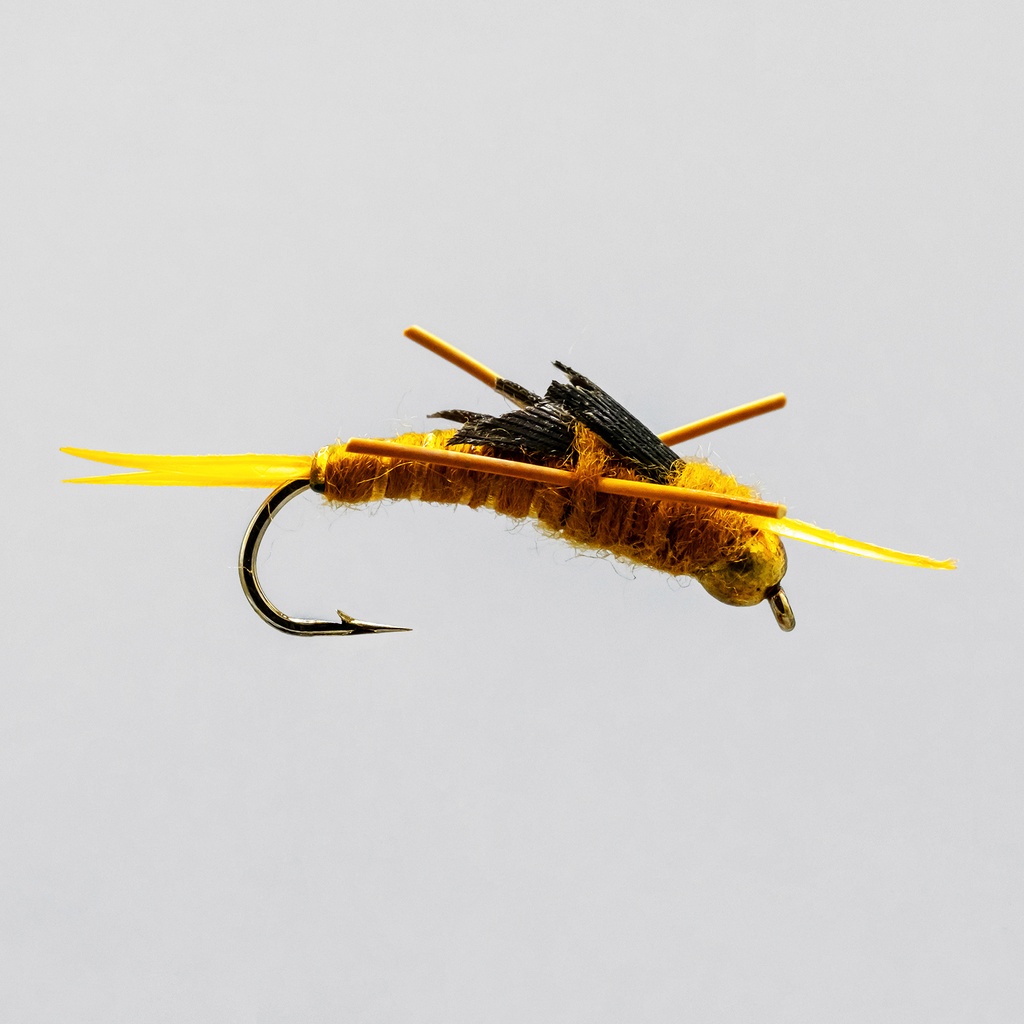 Bead Head Golden RL Stonefly