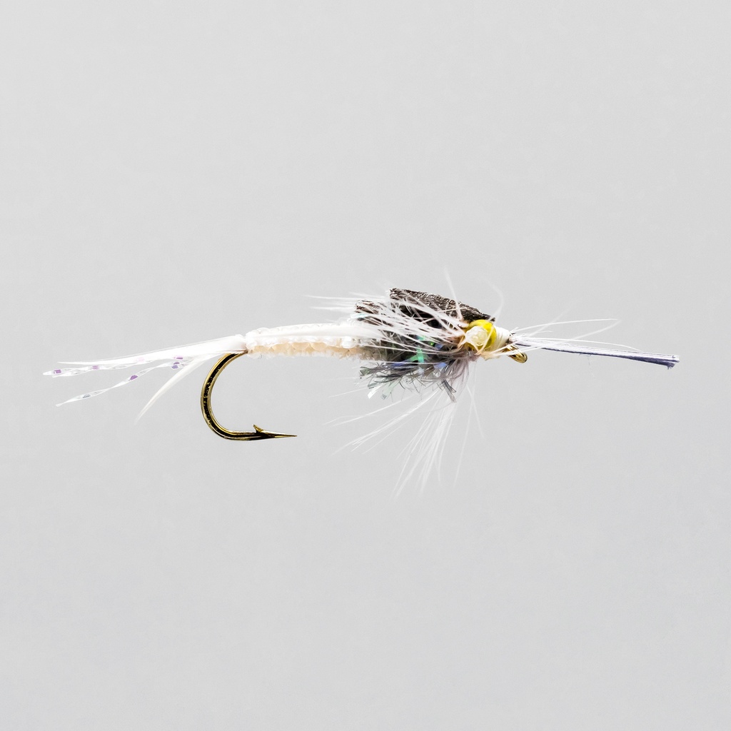 Grey Braided Stone Fly Nymphs