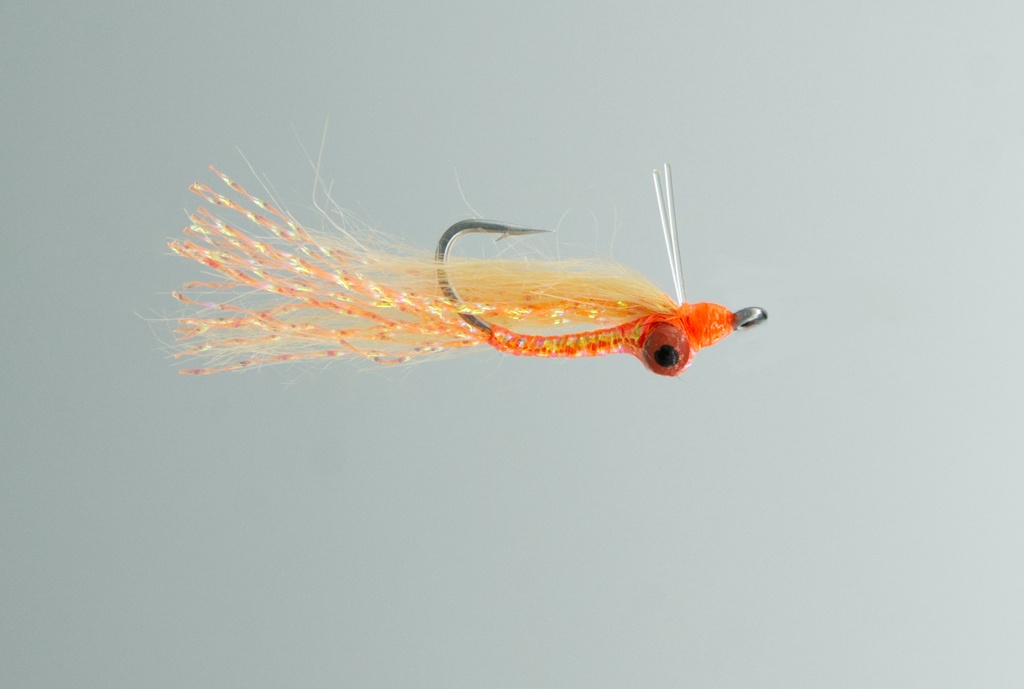 Christmas Island Special - Orange