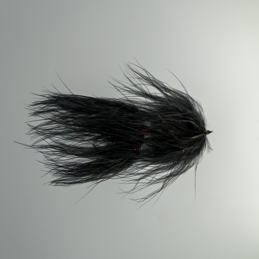 Galloup's TA leech