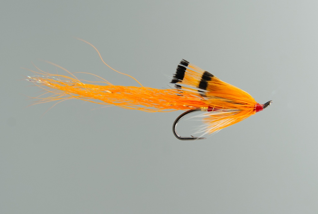 Ally's Shrimp - SINGLE HOOK