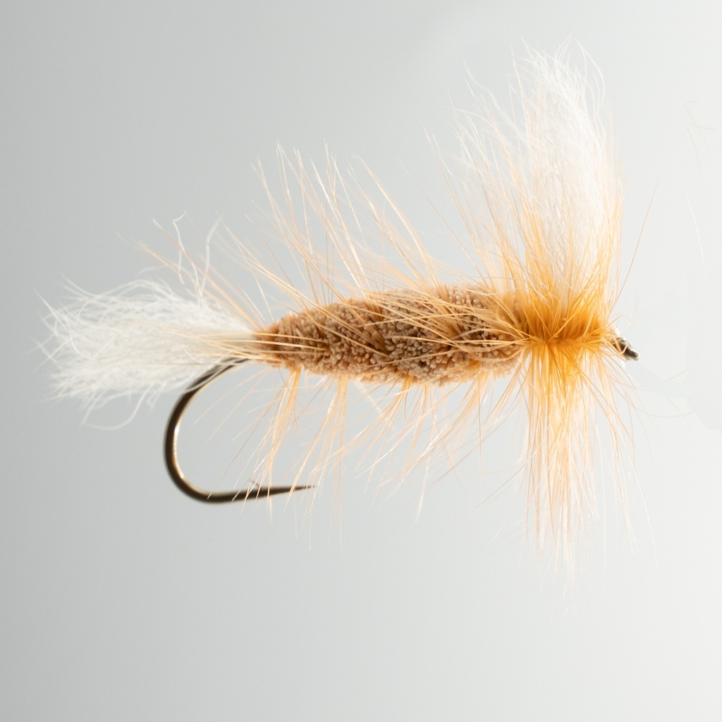 Shrimp Bomber