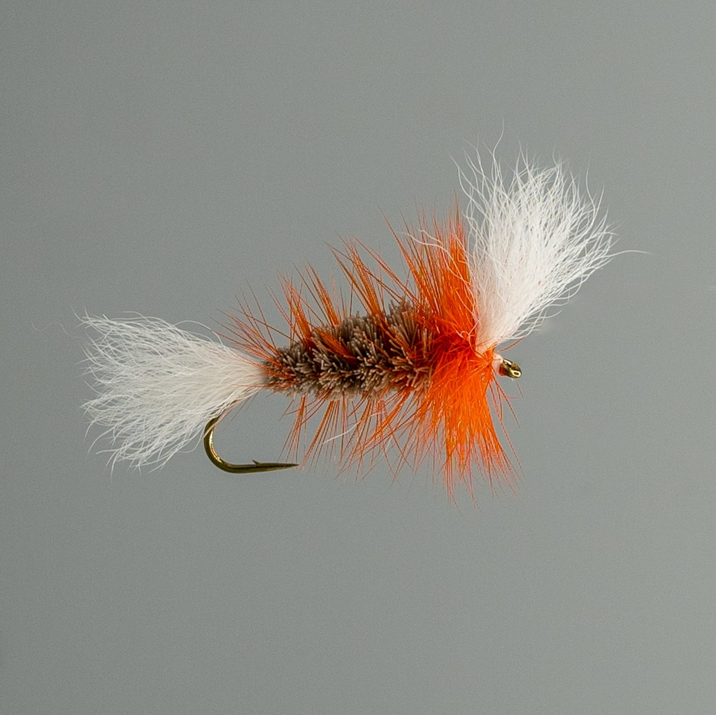 Brown Salmon Bomber Orange Hackle