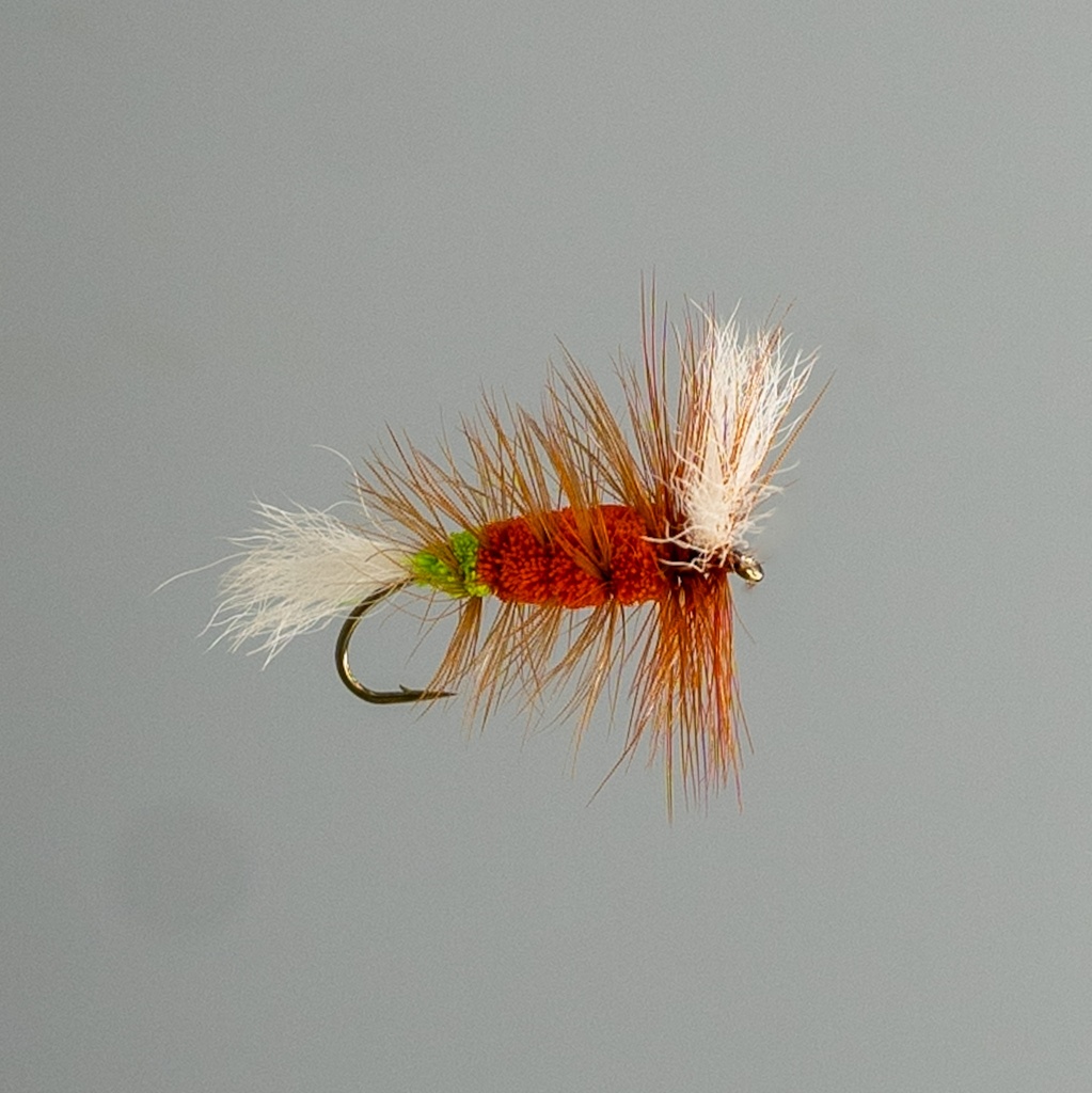 Orange Salmon Killer Whisker
