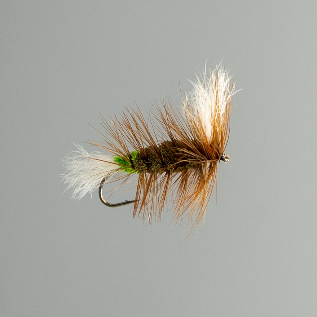 Olive Salmon Killer Whisker