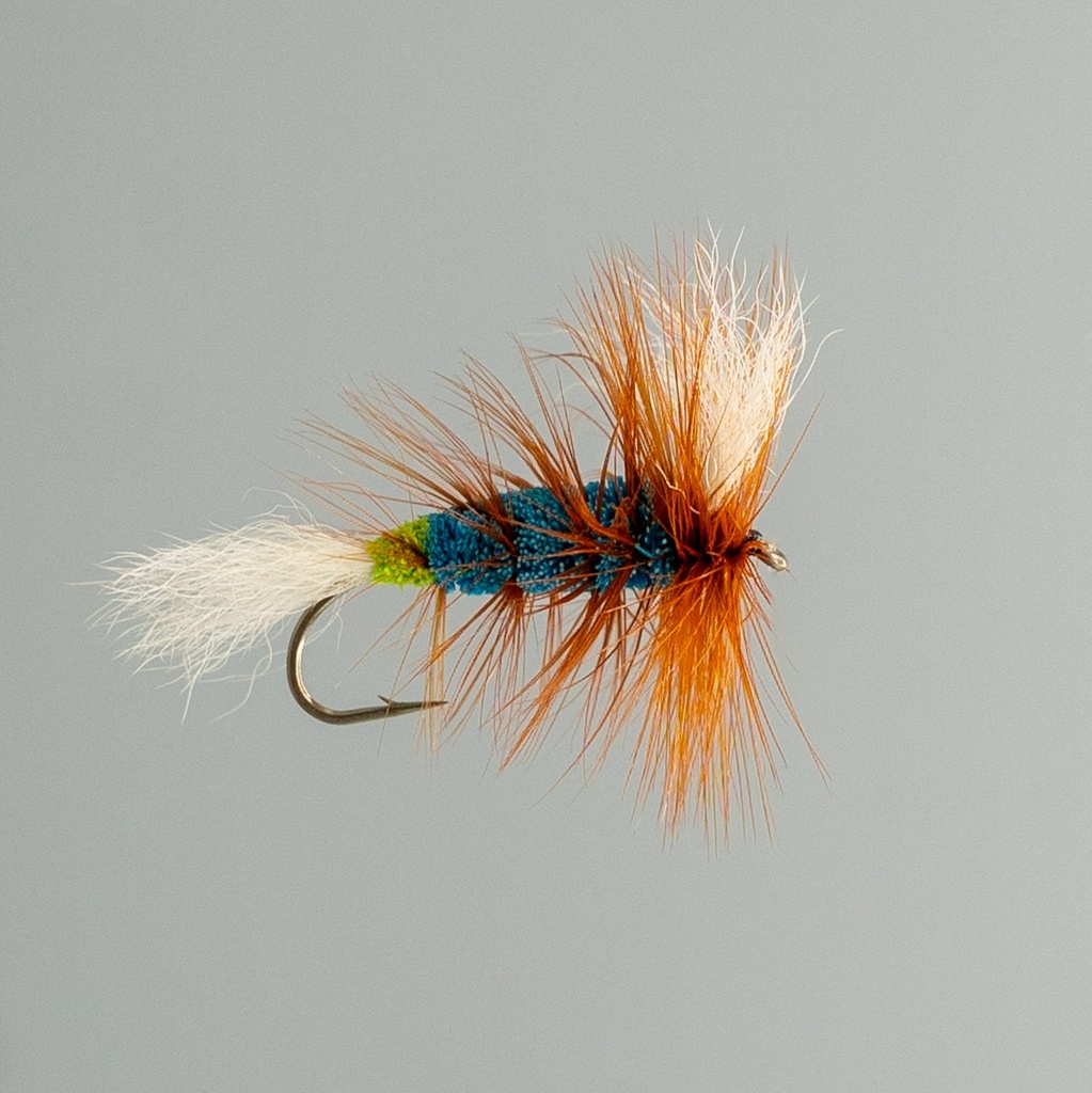 Blue Salmon Killer Whisker