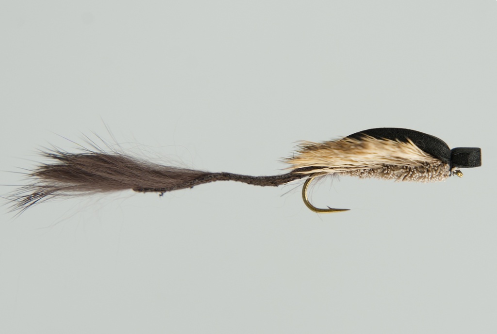 Morrish Mouse
