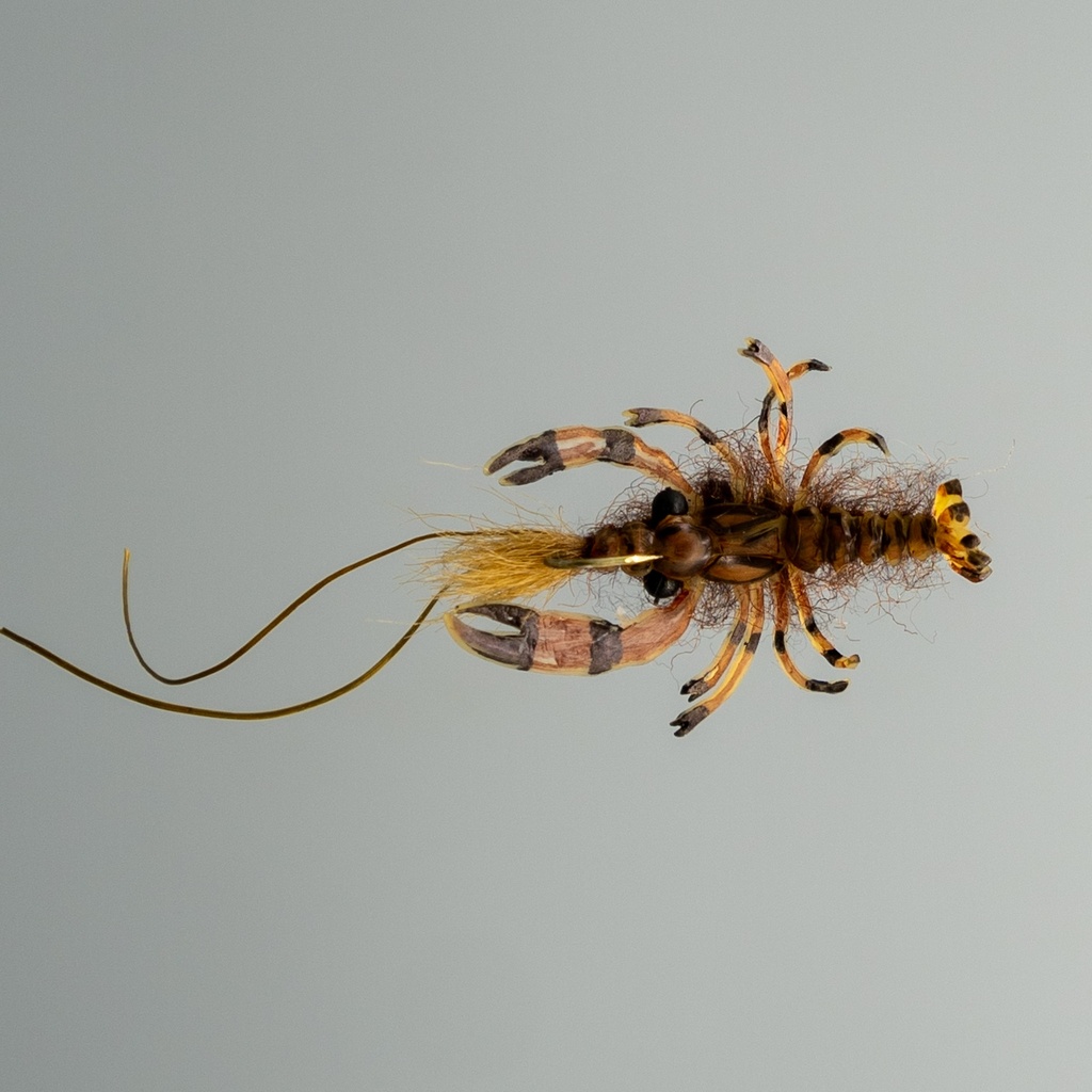 Realistic Crayfish