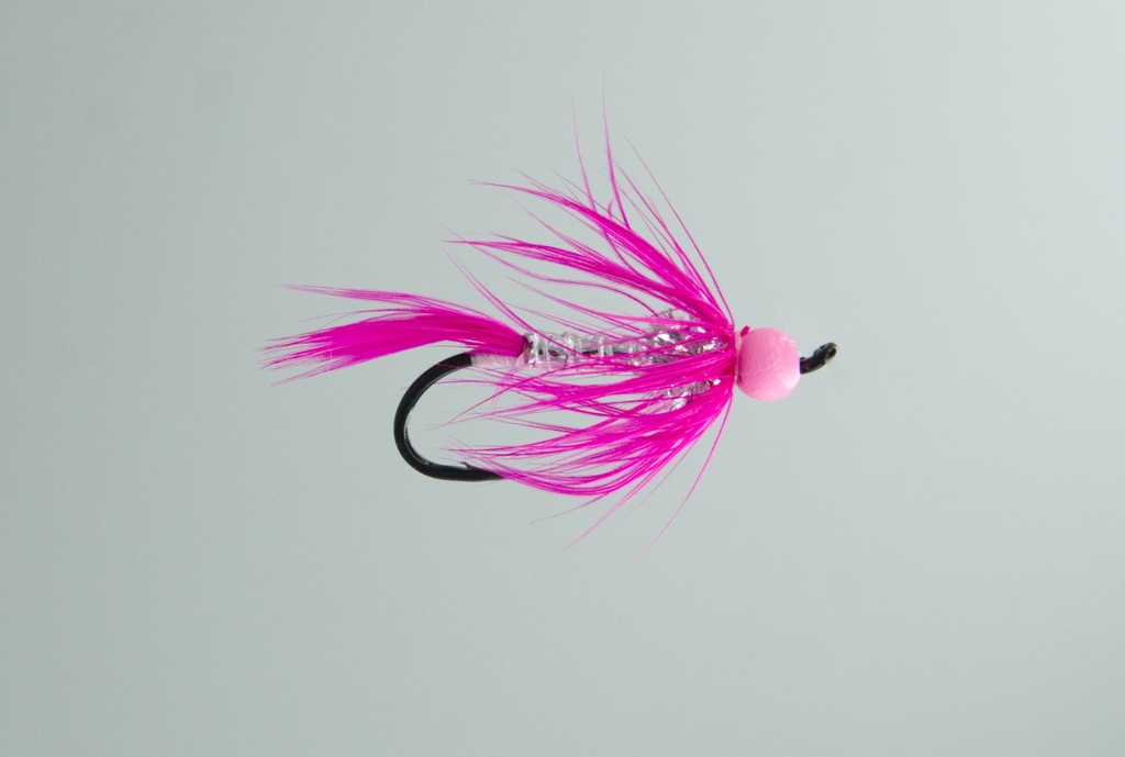 Doug's Blazing Comet - Fuchsia