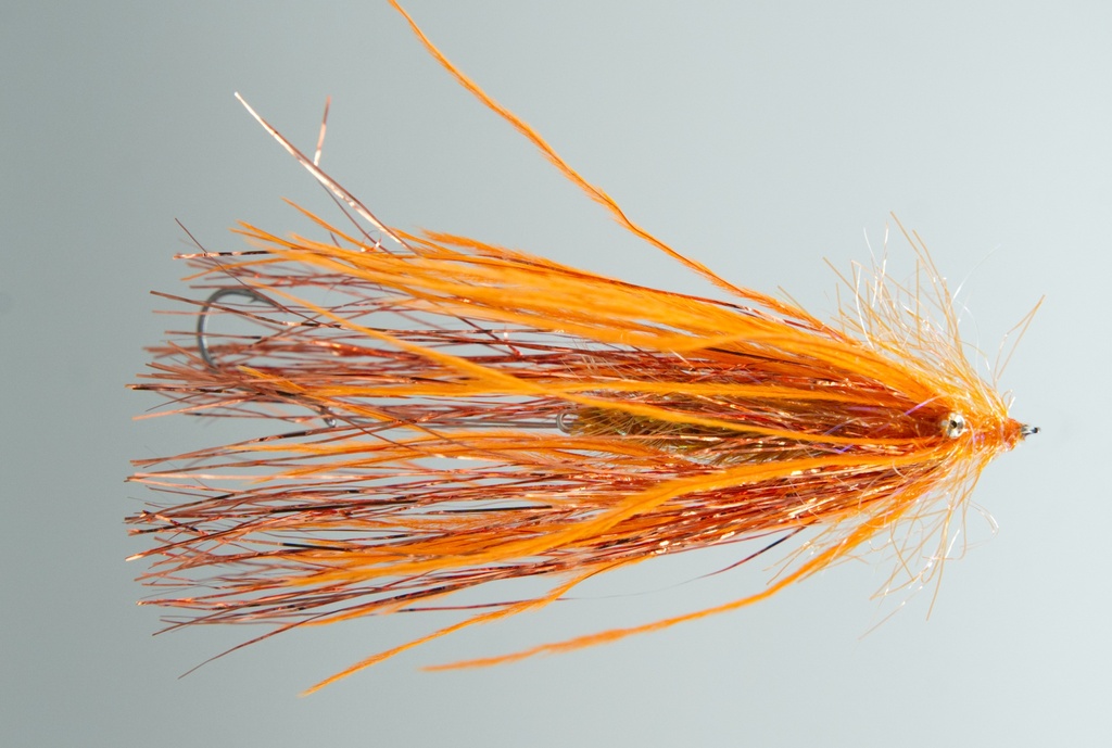 Fish Taco - Orange