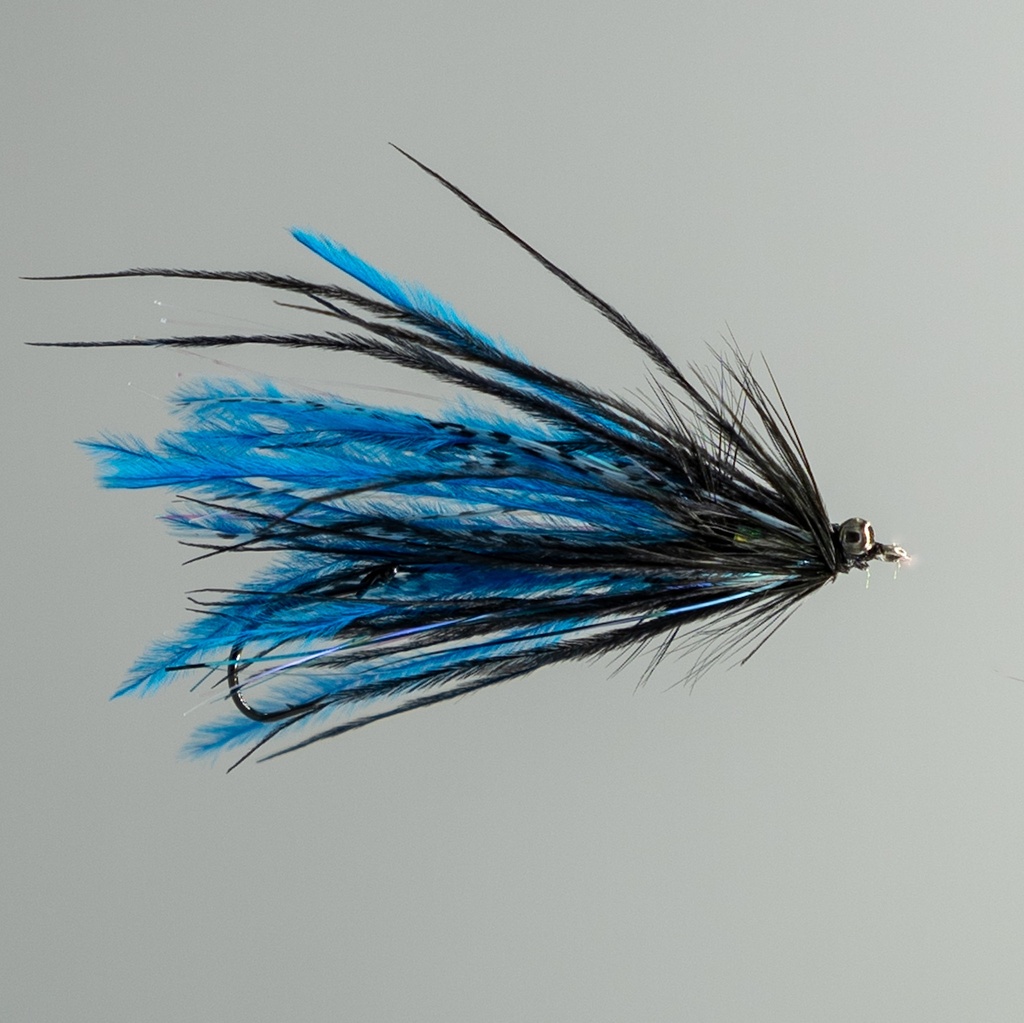 Mini Intruder - Black and Blue