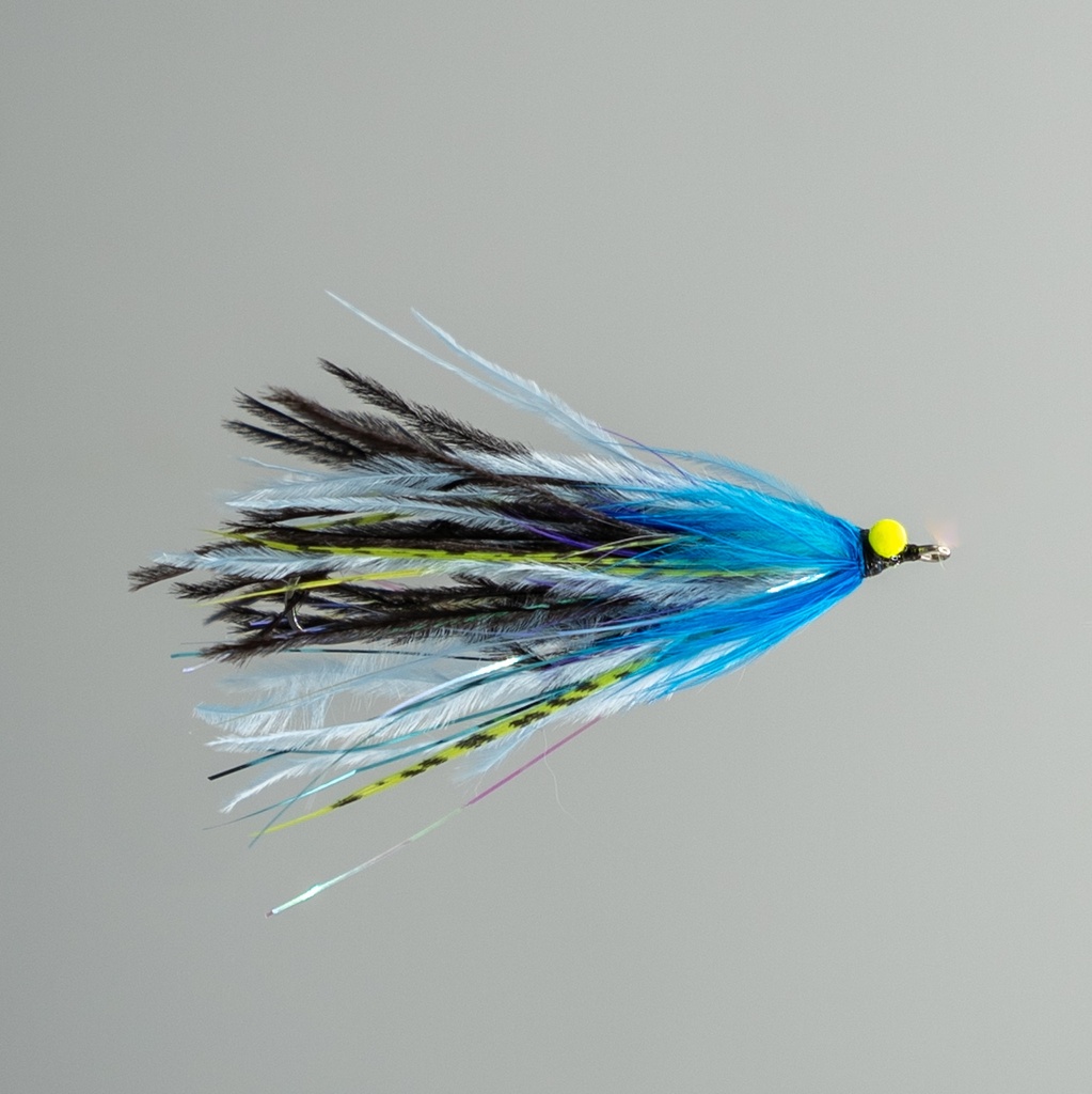 Mini Intruder - Blue and Purple