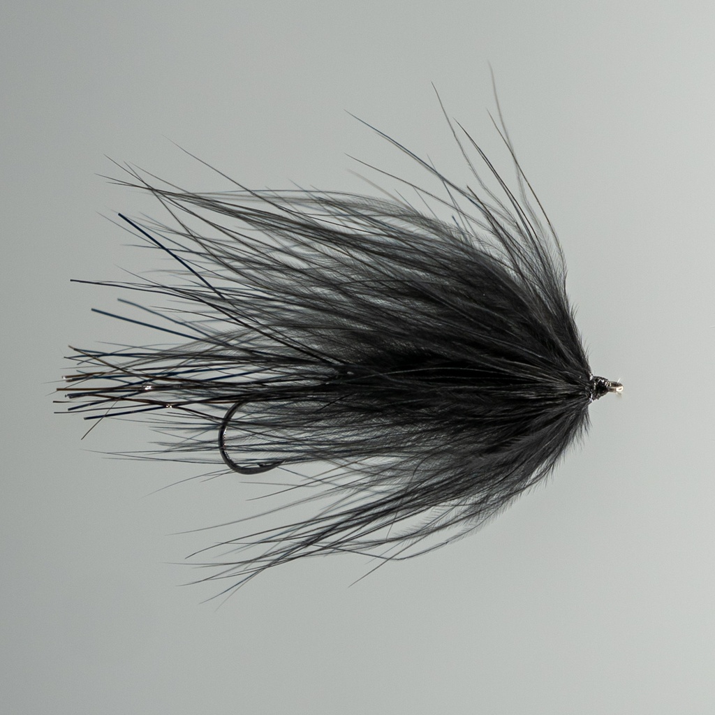 Intruder Leech - Black