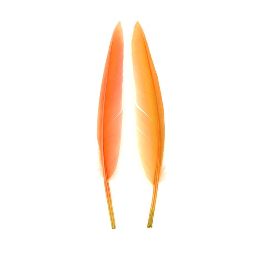 SHOR - PLUMES DE CANARD