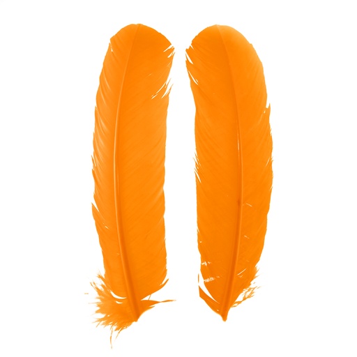 SHOR - PLUMES DE DINDE