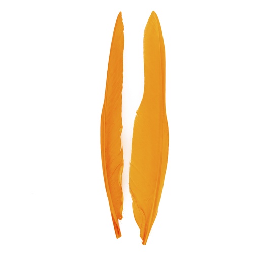 SHOR - GOOSE QUILLS