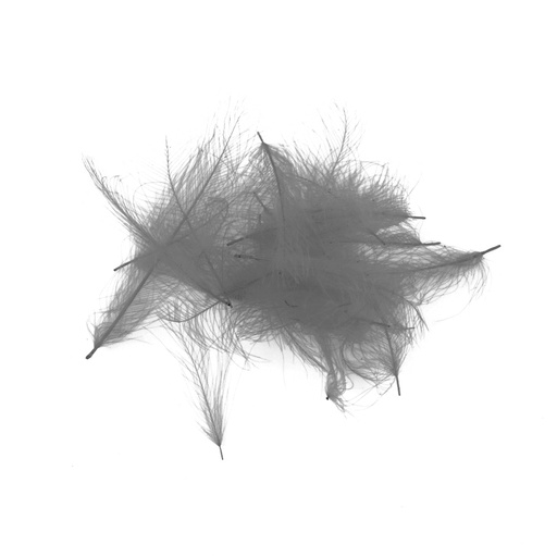 SHOR - CDC FEATHERS