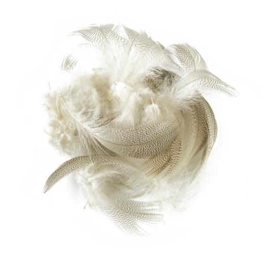 SHOR - FLANC DE MALLARD