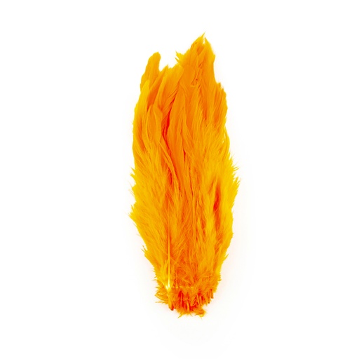 SHOR - SCHLAPPEN