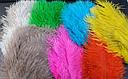 SPEY PLUMES