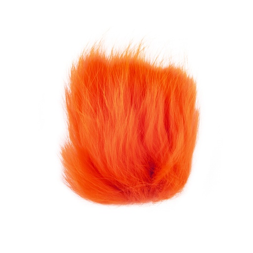 SHOR - RENARD ARCTIQUE