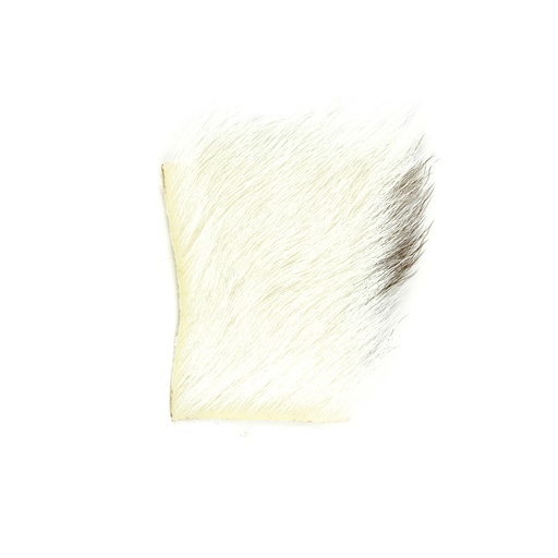 SHOR - CALF BODY