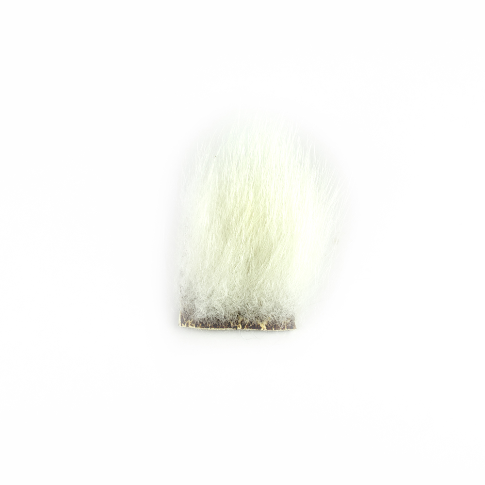 SHOR - OURS POLAIRE | SHOR FISHING