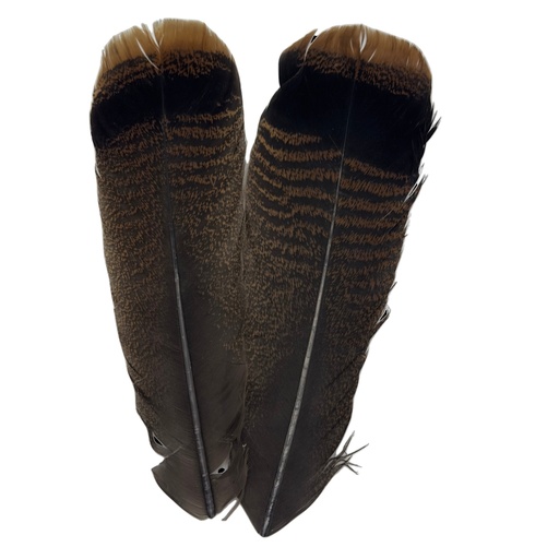 SHOR - QUEUE DE DINDE OZARK CINNAMON