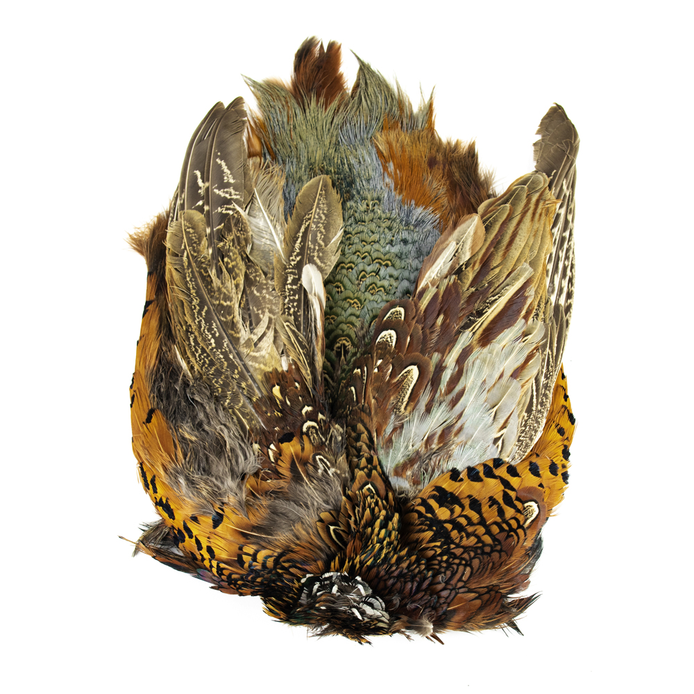 SHOR - RING-NECKED PHEASANT SKIN MALE