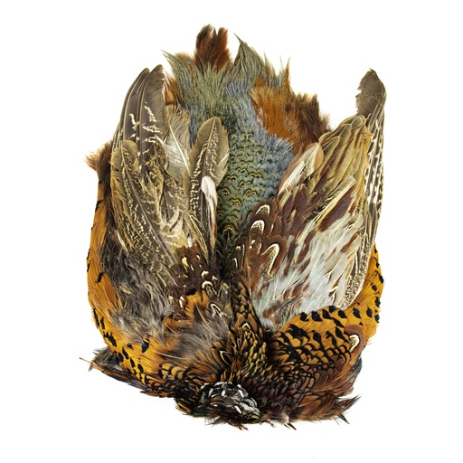 SHOR - PEAU DE FAISAN RING-NECKED MALE