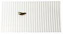[TFOFBP] TFO -  RIPPLE FOAM BOAT FLY PATCH