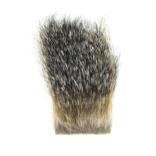 [AH901] SHOR - RENARD GRIS