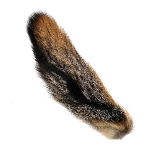 [AH903] SHOR - GRAY FOX TAIL