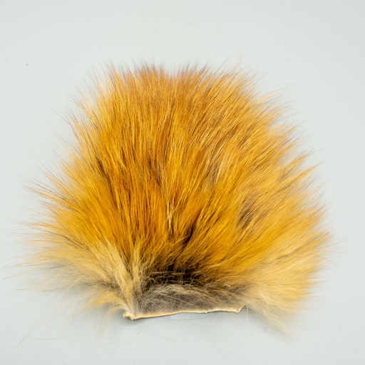 SHOR - RED FOX