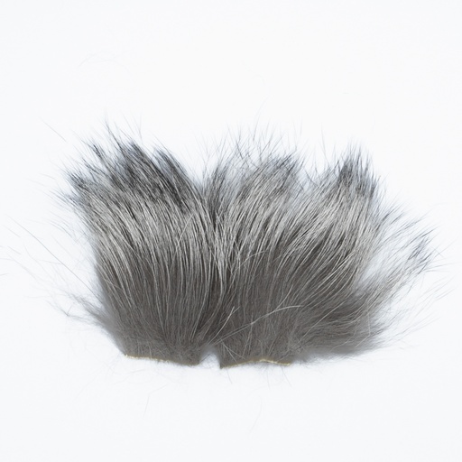 SHOR - SILVER FOX